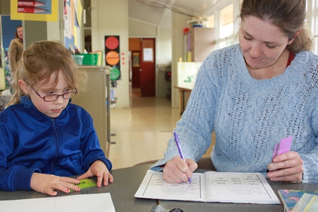 volunteering parents with students